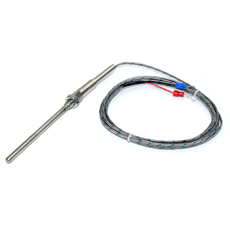 PT100 Φ5mm L=100mm PT100 tetrafluoro silver plated wire 2M Cable